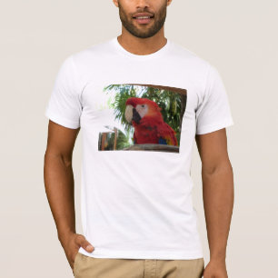 T-shirt Adoro papagaios