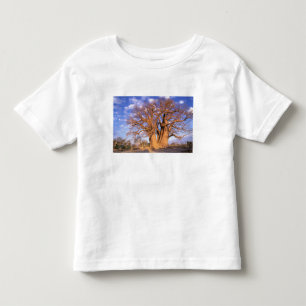 T-shirt África, Botsuana, Delta do Okavango. Baobá