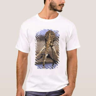 T-shirt África, Botsuana, Parque Nacional Chobe, Girafa