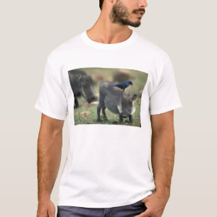 T-shirt África do Sul, Pilanesburg GR, Facão
