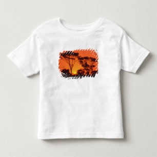 T-shirt África do Sul. Pôr do sol africano.