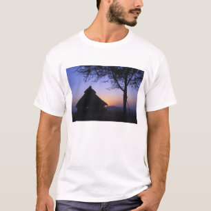 T-shirt África, Etiópia, região do rio Omo, Pôr do sol sob