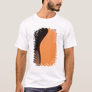T-shirt África, Namíbia, Luz da tarde nas dunas,