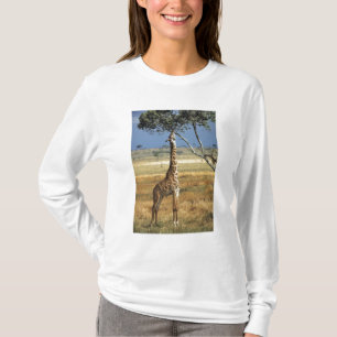 T-shirt África, Quênia, Amboseli NP. Um Girafa-comum, ou m