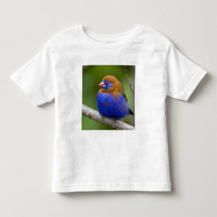 T-shirt África. Quênia. Grenadier Roxo