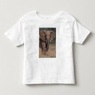 T-shirt África, Quênia, Nanyuki, Mpala. Elefante-africano.