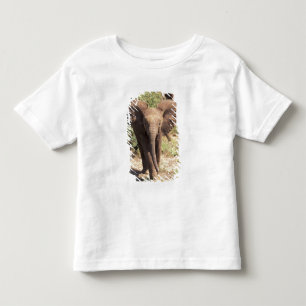 T-shirt África, Quênia, Parque Nacional de Amboseli. Afric