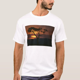 T-shirt África, Quênia, Reserva de Caça Masai Mara, Cenári