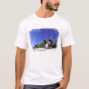 T-shirt África, Seychelles, Ilha La Digue. Granito 3