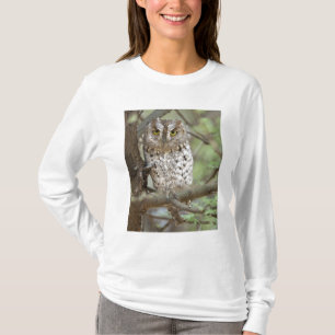 T-shirt África. Tanzânia. Coruja-pequena-africana em Taran