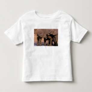 T-shirt África, Tanzânia, Parque Nacional de Tarangire.