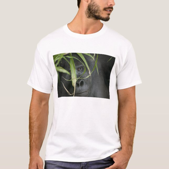 T-shirt África, Uganda, Bwindi (Frente)