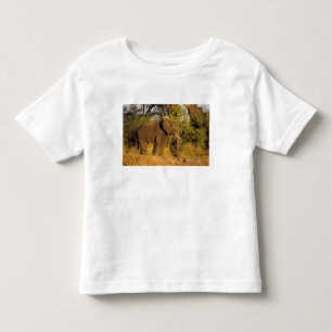 T-shirt África, Zimbábue, Parque Nacional Cataratas Vitóri