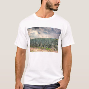 T-shirt Agave azul