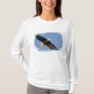 T-shirt Águia Americana, Haliaeetus leucocephalus, Homer, 