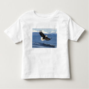 T-shirt águia-careca, Haliaeetus leuccocephalus, em voo