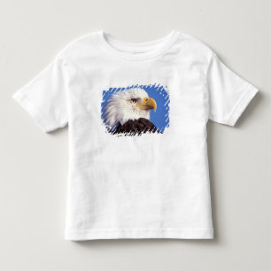 T-shirt águia-pescadora-americana, Haliaeetus leucocephalu