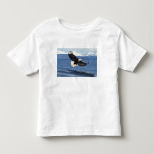 T-shirt águia-pescadora, Haliaeetus leuccocephalus, em voo
