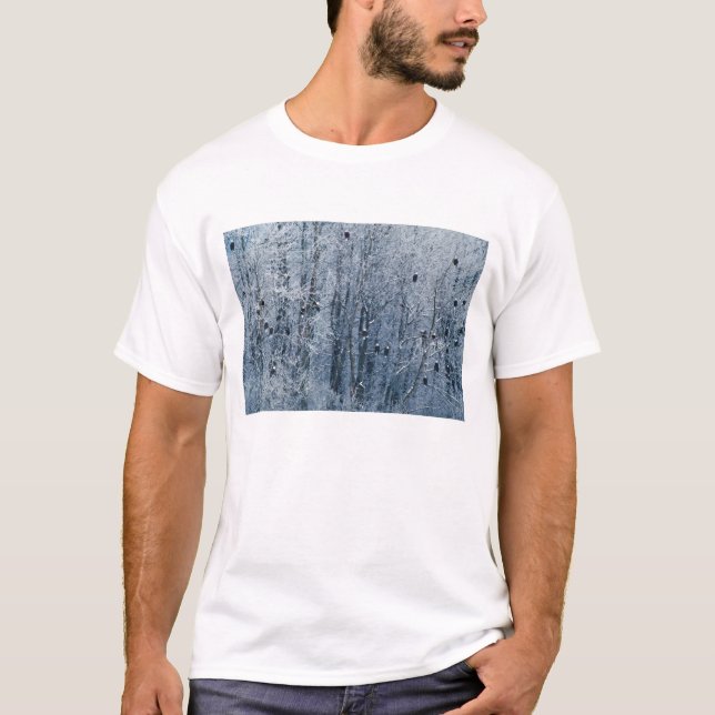 T-shirt Águias-americanas (Frente)