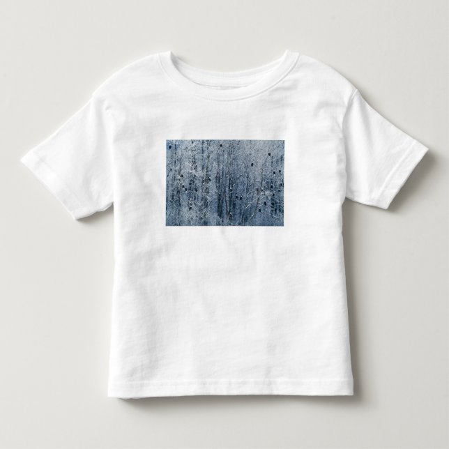 T-shirt Águias-americanas (Frente)