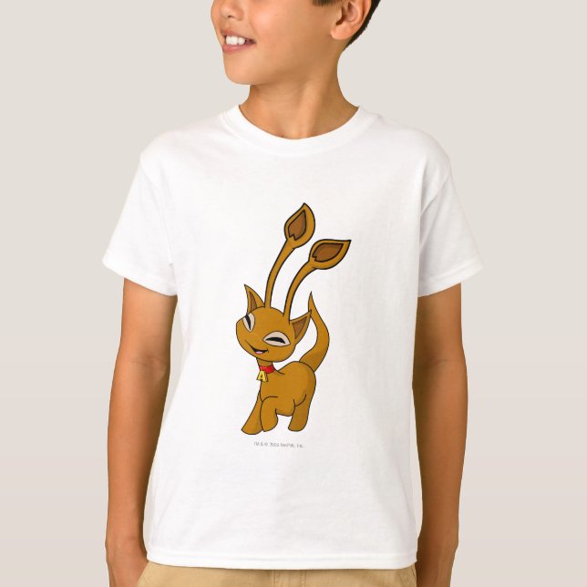 T-shirt Aisha Brown (Frente)