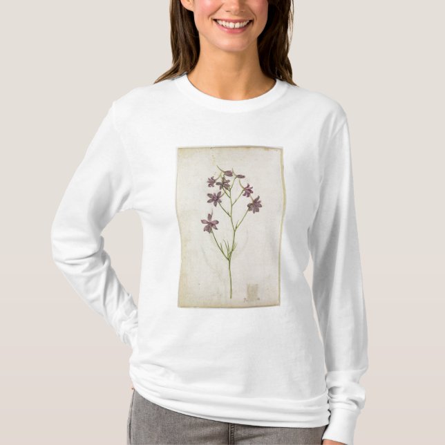 T-shirt Ajacis do Delphinium, c.1568 (Frente)