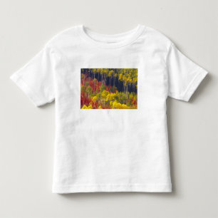 T-shirt Álamos coloridos em Logan Canyon Utah no