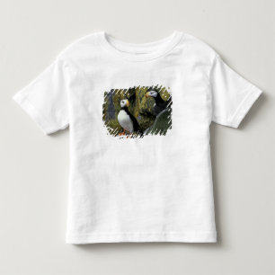 T-shirt Alasca, Ilha de São Paulo, as Ilhas Pribilof, bico