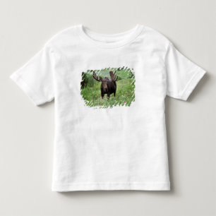 T-shirt Alce macho Alces alces) em flores silvestres,