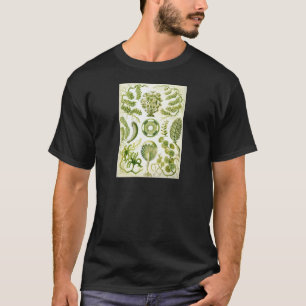 T-shirt Alga e algas do Siphoneae de Ernst Haeckel