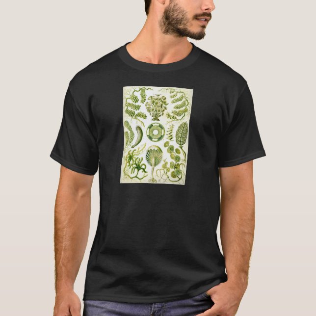 T-shirt Alga e algas do Siphoneae de Ernst Haeckel (Frente)