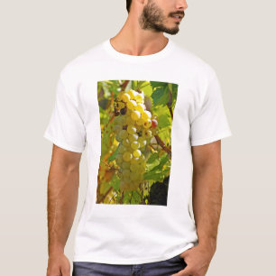 T-shirt Algumas Chasselas na vinha - plantadas há muito te