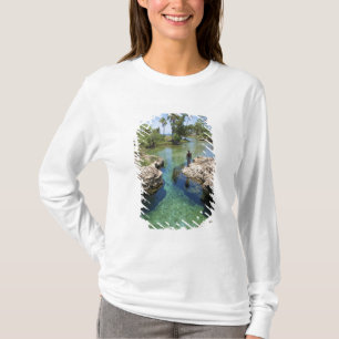 T-shirt Alligator Hole, Black River Town, Jamaica