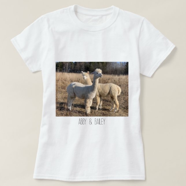 T-Shirt - Alpacas Abby & Bailey (Frente do Design)