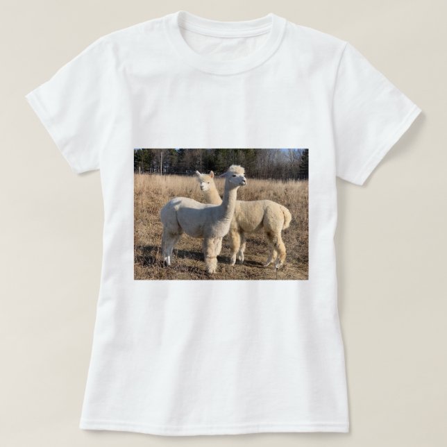 T-Shirt - Alpacas Abby & Bailey (Frente do Design)