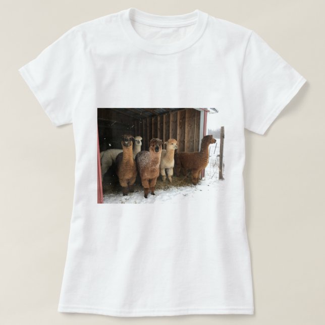 T-Shirt - Alpacas na neve (Frente do Design)