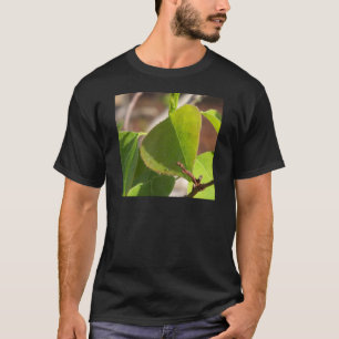 T-shirt amanhecer Dew na folha de sebo chinesa