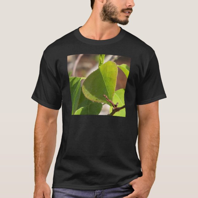 T-shirt amanhecer Dew na folha de sebo chinesa (Frente)