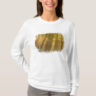 T-shirt Amanhecer Nebuloso em Tamarac NWR perto de Detroit