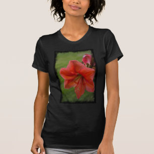 T-shirt Amaryllis