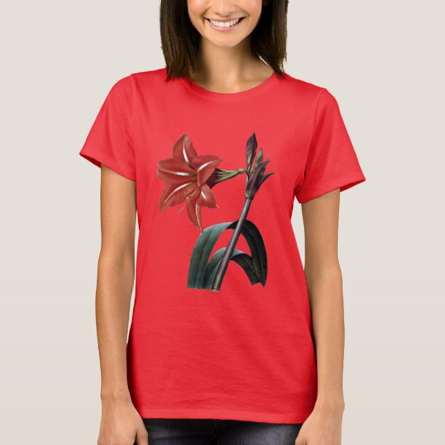 T-shirt Amaryllis listrado (Frente)