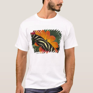 T-shirt América Central, Costa Rica, Selva Verde