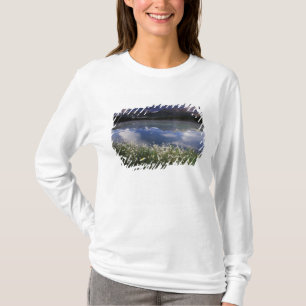 T-shirt América do Norte, Canadá, Alberta, Banff Nacional
