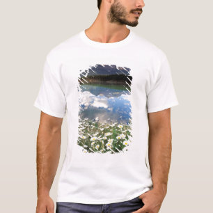T-shirt América do Norte, Canadá, Alberta, Parque Nacional