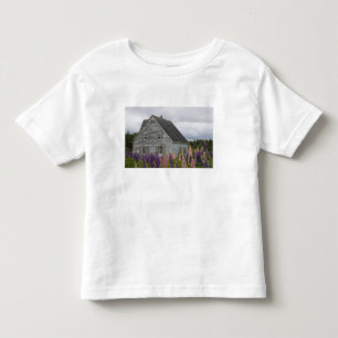 T-shirt América do Norte, Canadá, Ilha do Príncipe Eduardo
