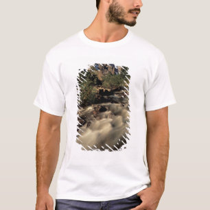 T-shirt América do Norte, Canadá, Rockies Canadenses, Banf