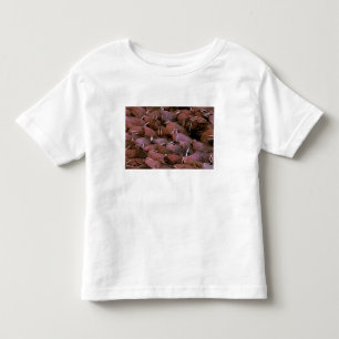 T-shirt América do Norte, EUA, Alasca, Delta do Yukon Naci