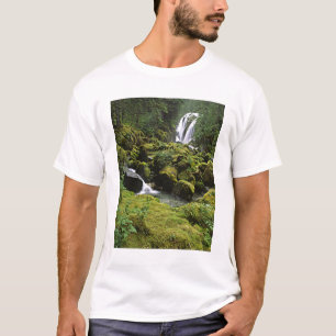 T-shirt América do Norte, EUA, Alasca. Uma cachoeira e