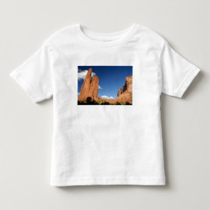 T-shirt América do Norte, EUA, Arizona, Navajo Índio 4