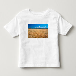 T-shirt América do Norte, EUA, Idaho. Campo de cevada em